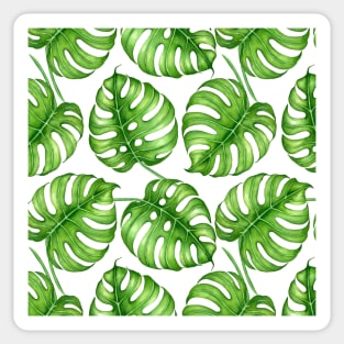 Monstera watercolor pattern Sticker